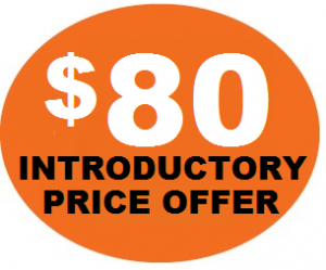 $80 Introductory Price Offer